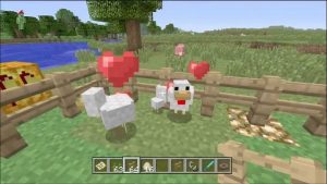 What do chickens eat in Minecraft