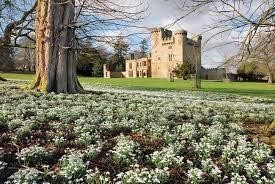 Places to See the Snowdrops to Brighten up the January Days