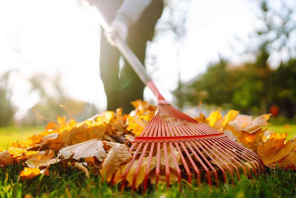 How do you make leaf cleanup easier?