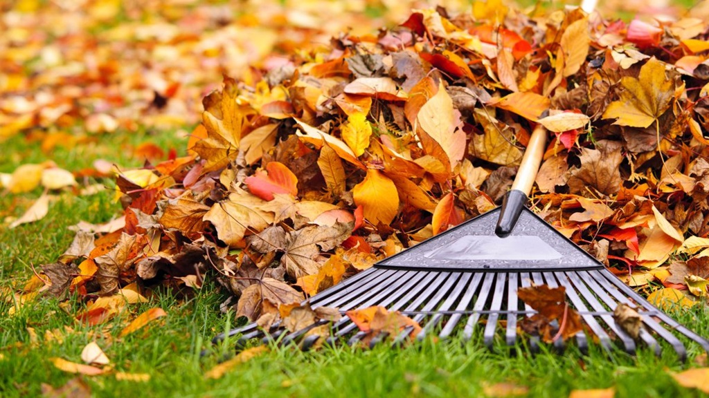 What are three uses of a rake?
