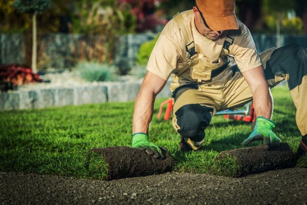 Fall Lawn Care Checklist for Chicago