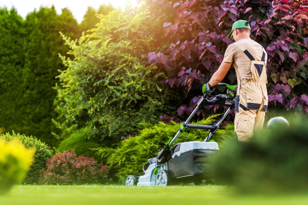 Best chicago lawn maintenance plans review