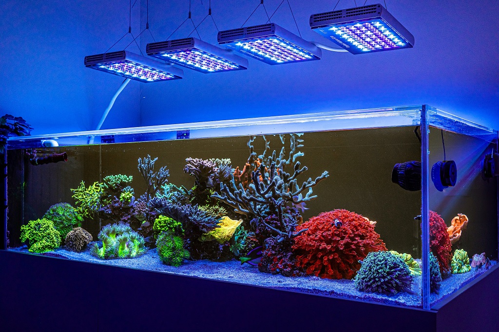 Can I leave LED aquarium’s LED lighting on all the time