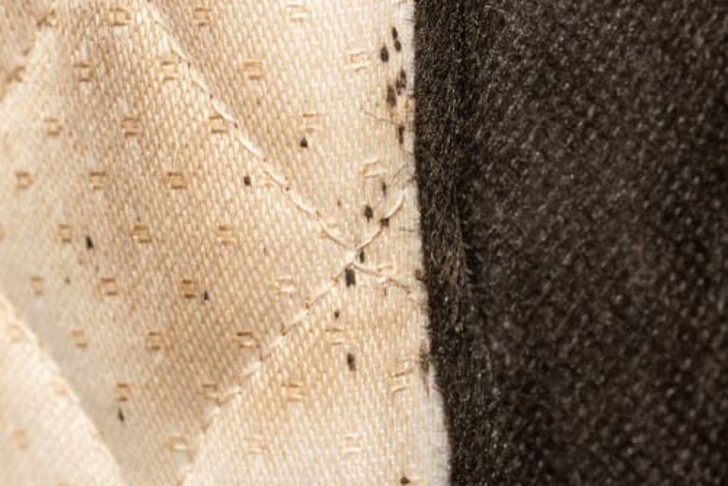 Are black spots on pillows dangerous