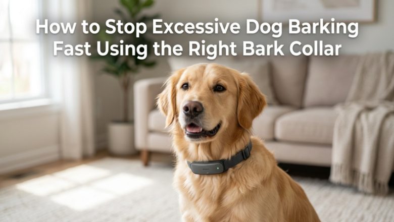 How to Stop Excessive Dog Barking Fast Using the Right Bark Collar