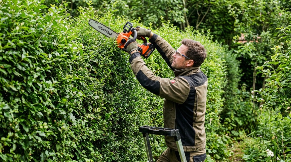 Person cutting a tree branch with a supstable chainsaw outdoors.
